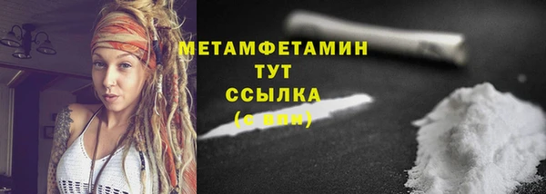 прущие грибы Белокуриха