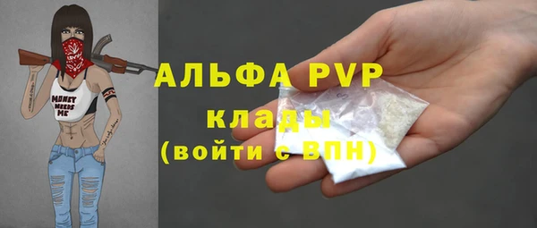 мяу мяу кристалл Богданович