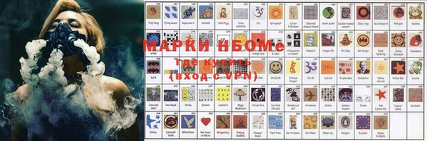 прущие грибы Белокуриха