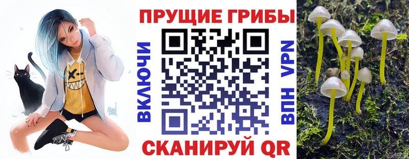 Псилоцибиновые грибы Psilocybine cubensis  Купить закладки  Льгов 